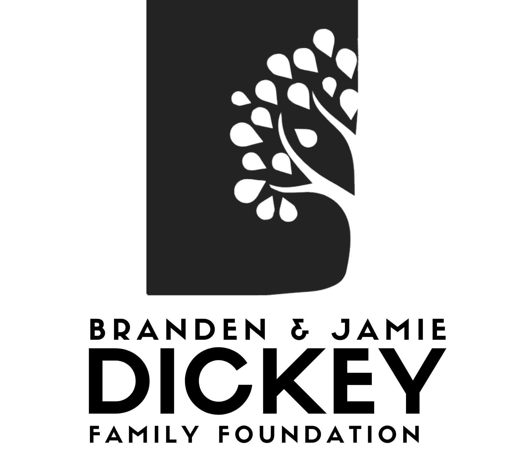 Branden and Jamie Dickey Family Foundation